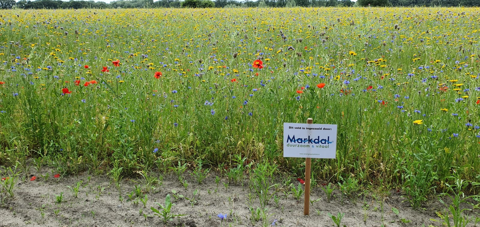 bloemrijke gronden van de Vereniging Markdal