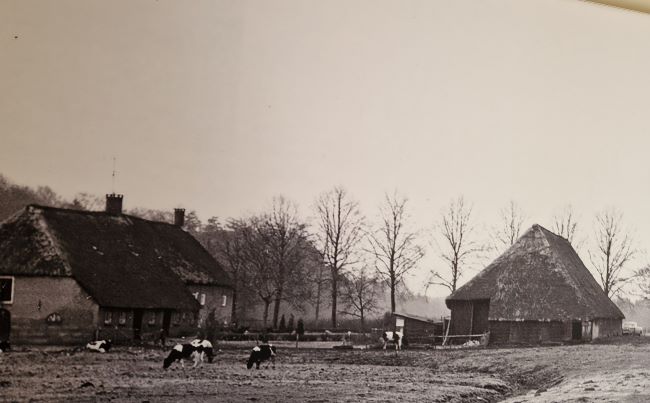 Boerderij Nuwenhuis vroeger